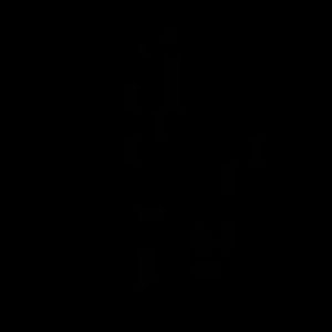 Meet your Posher, Isabella